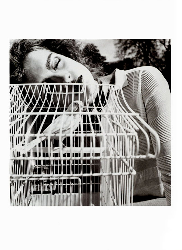 A Look Back | Birdie by Nathaniel Goldberg nataliavodianova10 A Look Back | Birdie by Nathaniel Goldberg