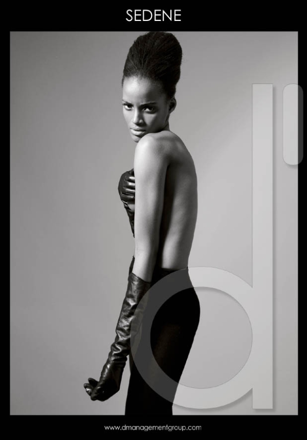 dmgmt4 Before Print | New at D'management Group