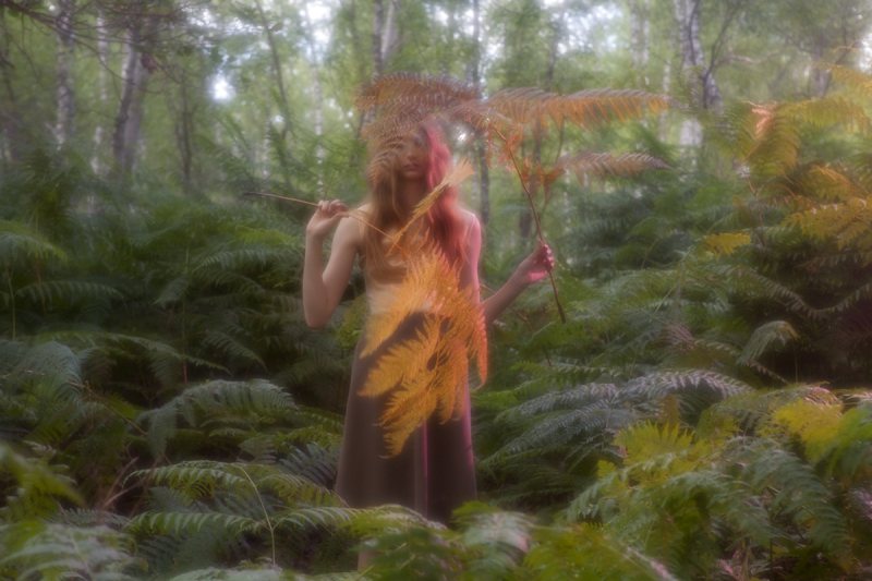 Codie Young by Camille Vivier for <em>Lula</em> F/W 2011 codie young2 Codie Young by Camille Vivier for <em>Lula</em> F/W 2011