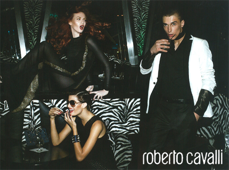 cavalli Roberto Cavalli Fall/Winter 09.10