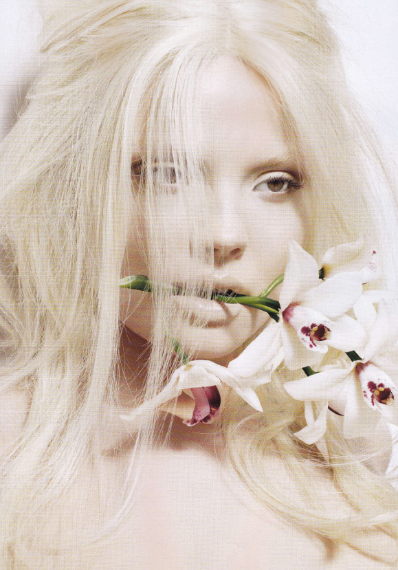 Sugar Sugar White