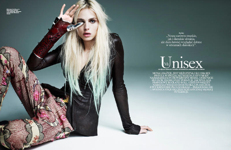 http://imagesgonerogue.com/rogue/2011/4/1/andrej-pejic1.jpg