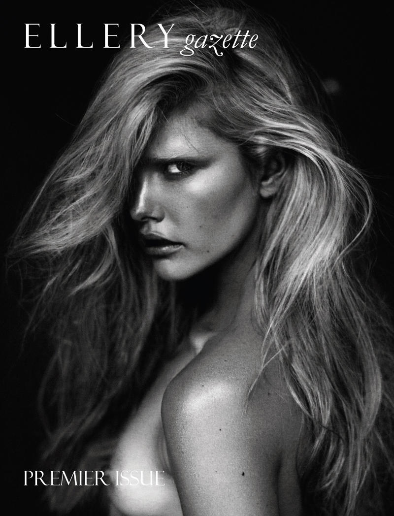 steven chee1 Steven Chee for <em>The Ellery Gazette</em>